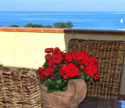 Photos of B&B Antigua