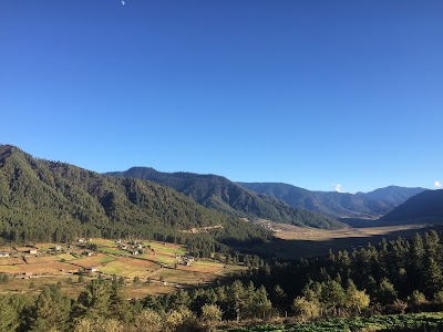 Photos of Gangtey Monastery