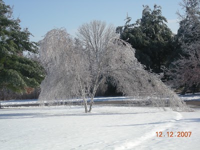 Photos of Shabbona Lake State Park