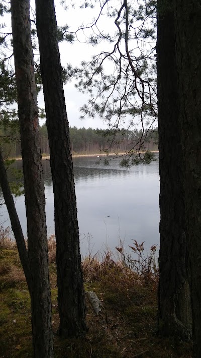 Photos of Mustj&auml;rve matkarada