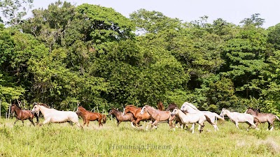 Photos of Rancho el Contento