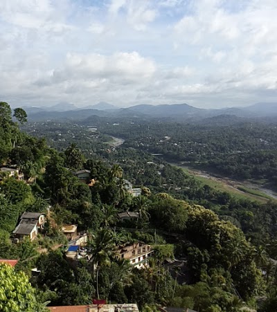 Photos of Skydale Homestay