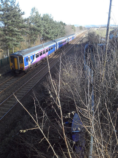 Hapton - Thumbnail