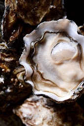 Photo n°56 de Merle Huîtres et Coquillages à Lyon (Restaurant français)