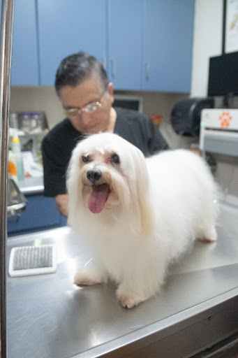 Clínica Veterinaria Tec