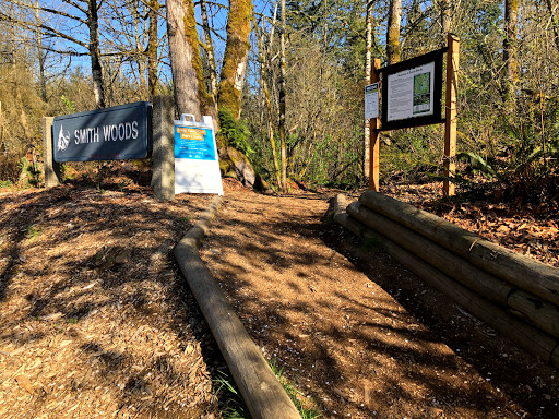 Smith Woods - Visual