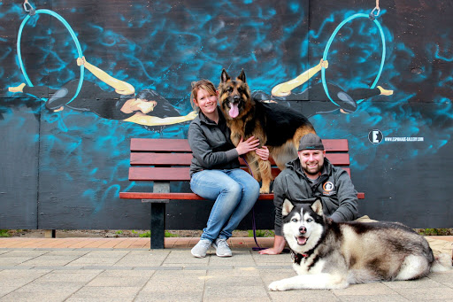 Canine Connect - Thumbnail