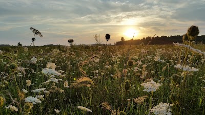 Photos of Big Oaks National Wildlife Refuge