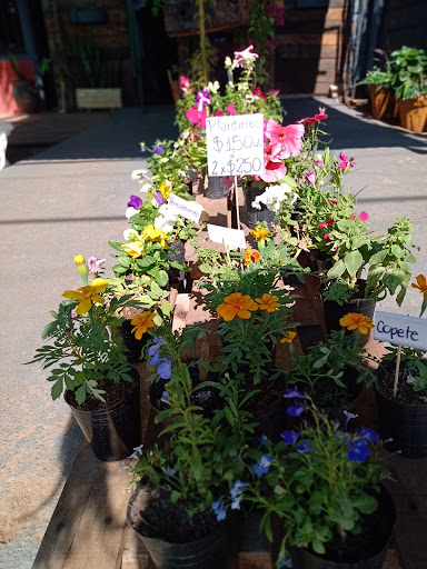 ElLapachito VIVERO - Foto 1