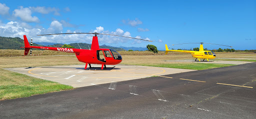 Safari Helicopter Landing - Thumbnail