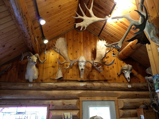 Timberline Creations - Visual