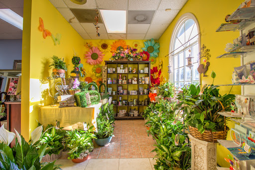 Oviedo Florist - Thumbnail