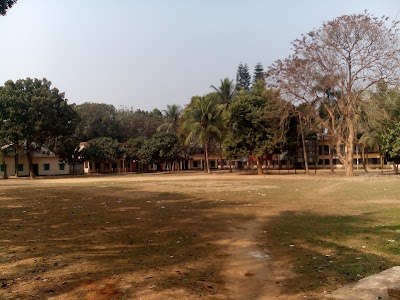 local-government-office