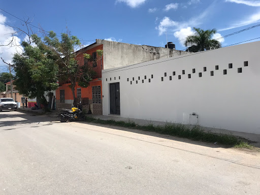 Vets in Action Spay Quintana Roo