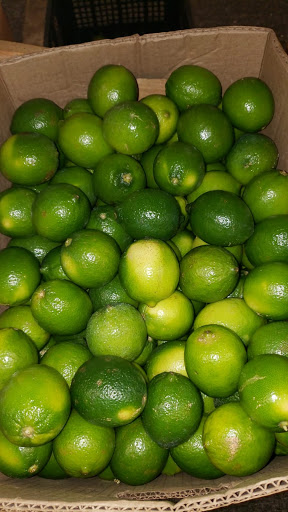Jonys fruit - Visual