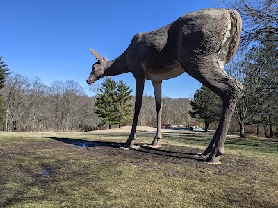 Laumeier Sculpture Park