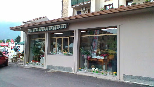 Manuela Piante E Fiori (fioreria Manuela)