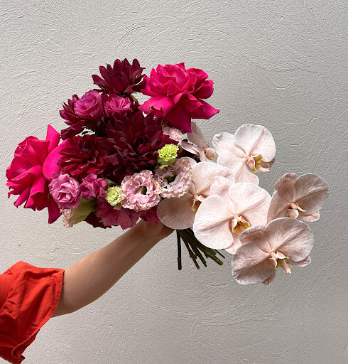 Wildplay Flora - Visual