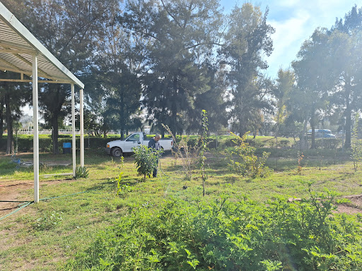 Centro Regional de Educación y Cultura de la Biodiversidad (CEREBIO) - Thumbnail