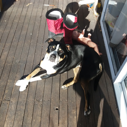 Ourvets Parklands Veterinary Clinic - Thumbnail