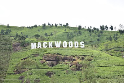Photos of Mackwoods Museum