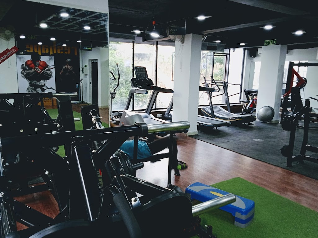 Reshape Fitness Gym