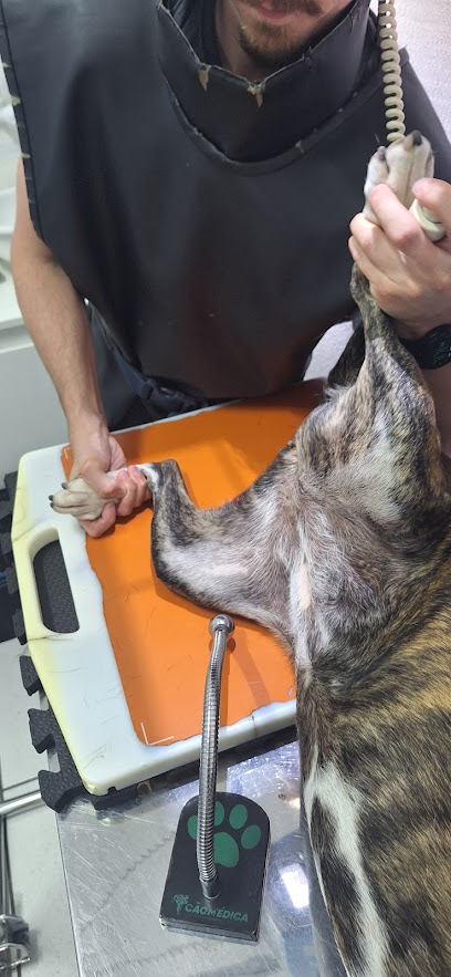 Clínica Veterinária Joinville