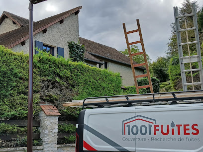 1001 Fuites
