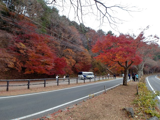 Momiji Tunnel