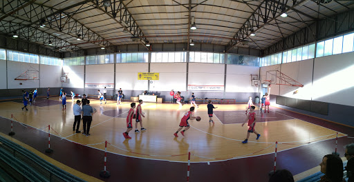 Palestra Claudio Papini