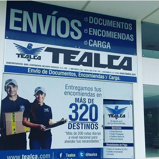 TEALCA Alto Barinas - Oficina 8005