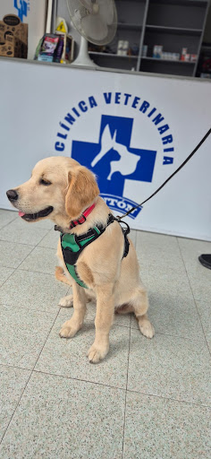 Clínica Veterinaria Pontón