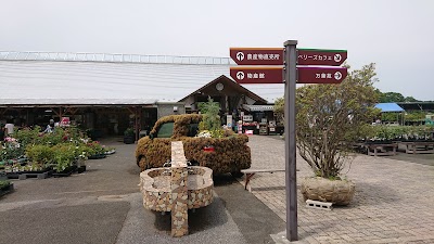 鹿沼市花木センター Tochigi 81 2 76 2310 Japan