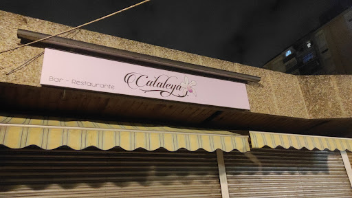 Calateya - Visual