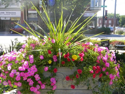 Photos of Ottawa Area Chamber of Commerce