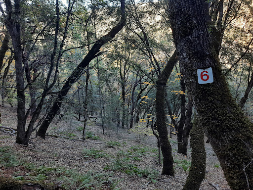 Mill Creek Park Ridge Trailhead - Thumbnail