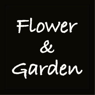 フラワー＆ガーデン イオンスタイル金剛