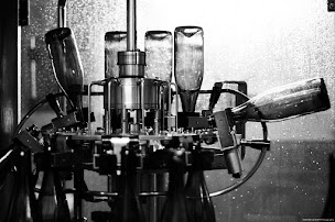 Photo n°6 de Cidrerie de Boal à Caulnes (Éleveur)