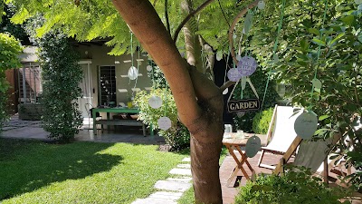 Photos of Casa Lila