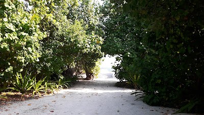 Photos of Alidhoo