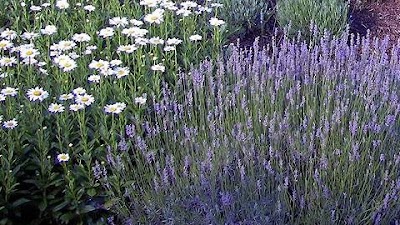 Photos of Greenwood Nursery