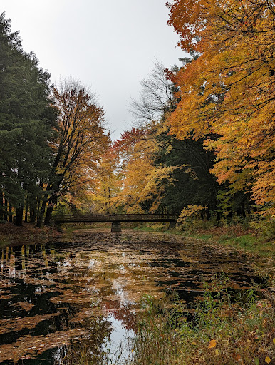 soeurs Woods - Thumbnail