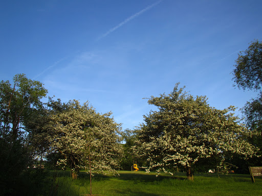 Longshore Park - Thumbnail