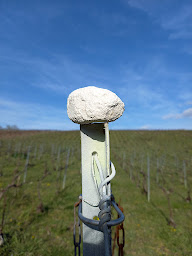 Photo n°4 de Champagne Gabriel Boutet à Cumières (Vignoble)