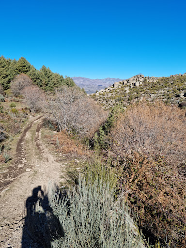 Área de Autocaravanas de Navarrevisca