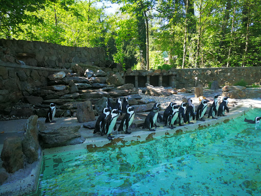 Straubing Zoo