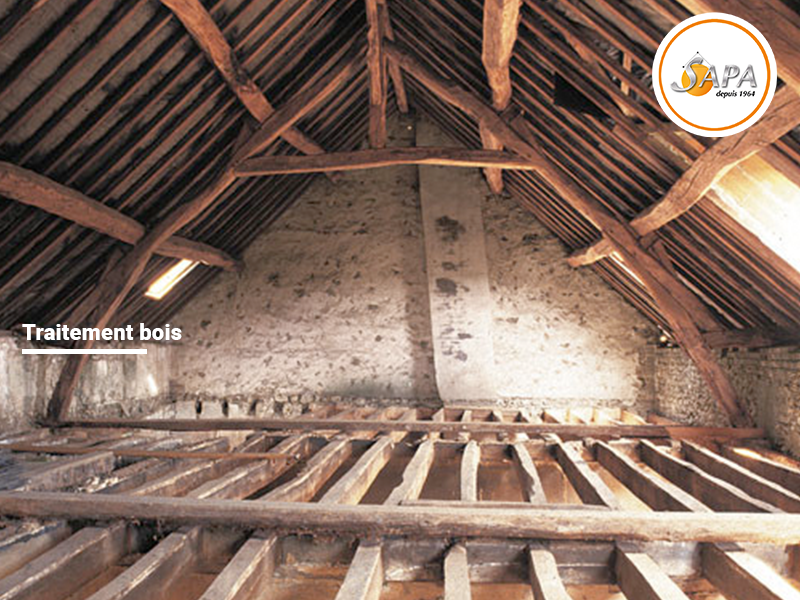 SAPA 40 Traitement Bois Termites Xylophages Frelons Guêpes — Isolation des combles à Mont-de-Marsan