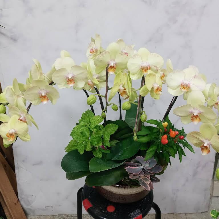 花譜花屋 花屋フラワーショップflower Shop