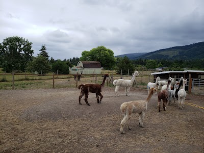 Happy Valley Alpaca Ranch