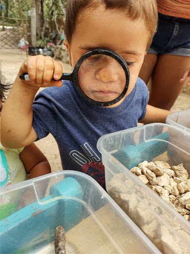 Kóokay - The Bilingual Jungle School and Preschool Playa Del Carmen